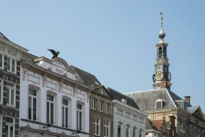 Miniatuur voor de ultieme Den Bosch -gids: een dag (of weekend) vol eten, drinken en doen