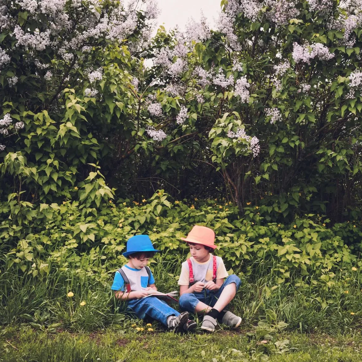 jongetjes omringd door groen | Minder astma in Finland: kinderen moeten spelen in de natuur