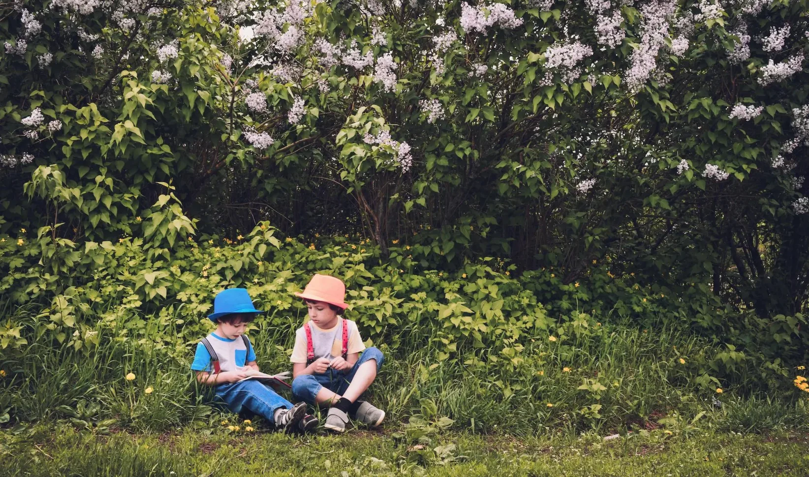 jongetjes omringd door groen | Minder astma in Finland: kinderen moeten spelen in de natuur