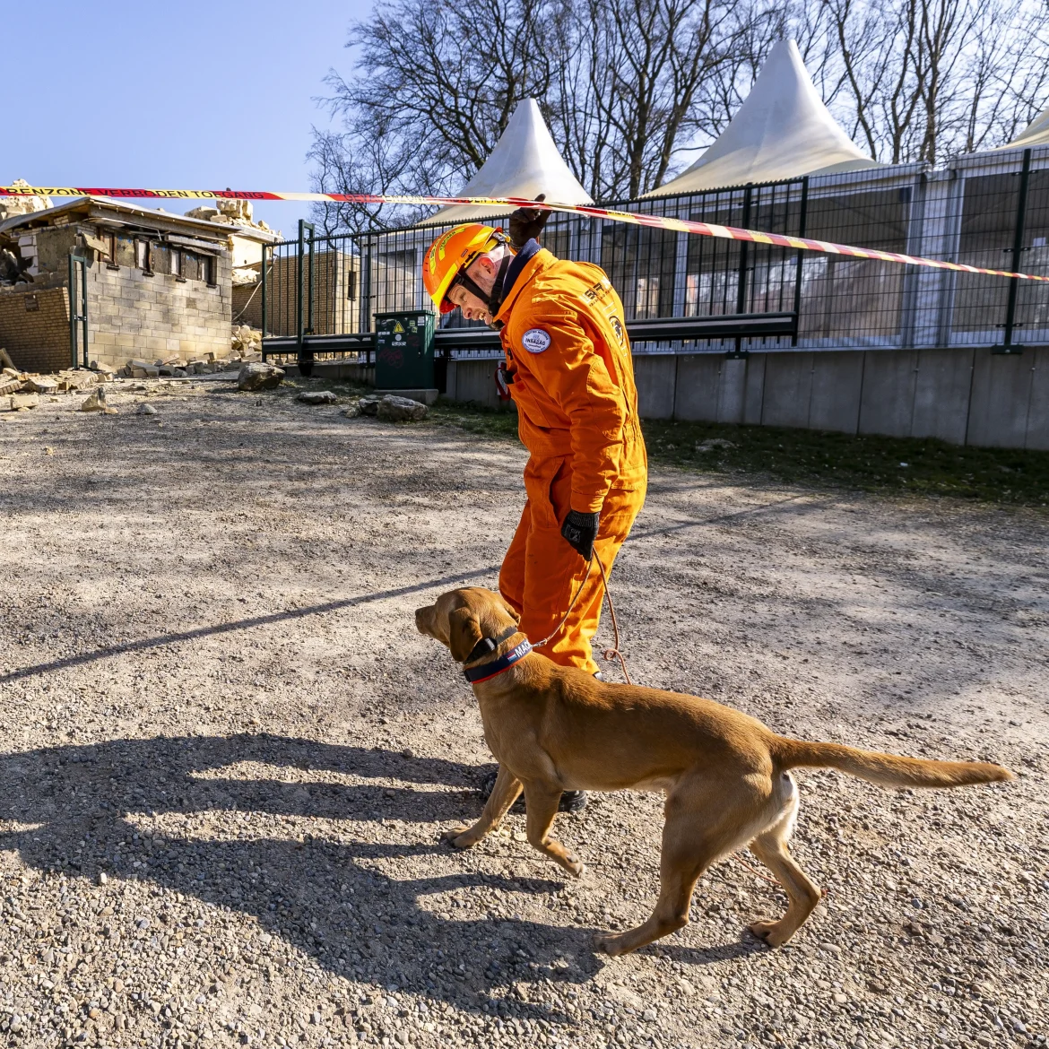 slachtoffers valkenburg wilhelminatoren honden slaan aan