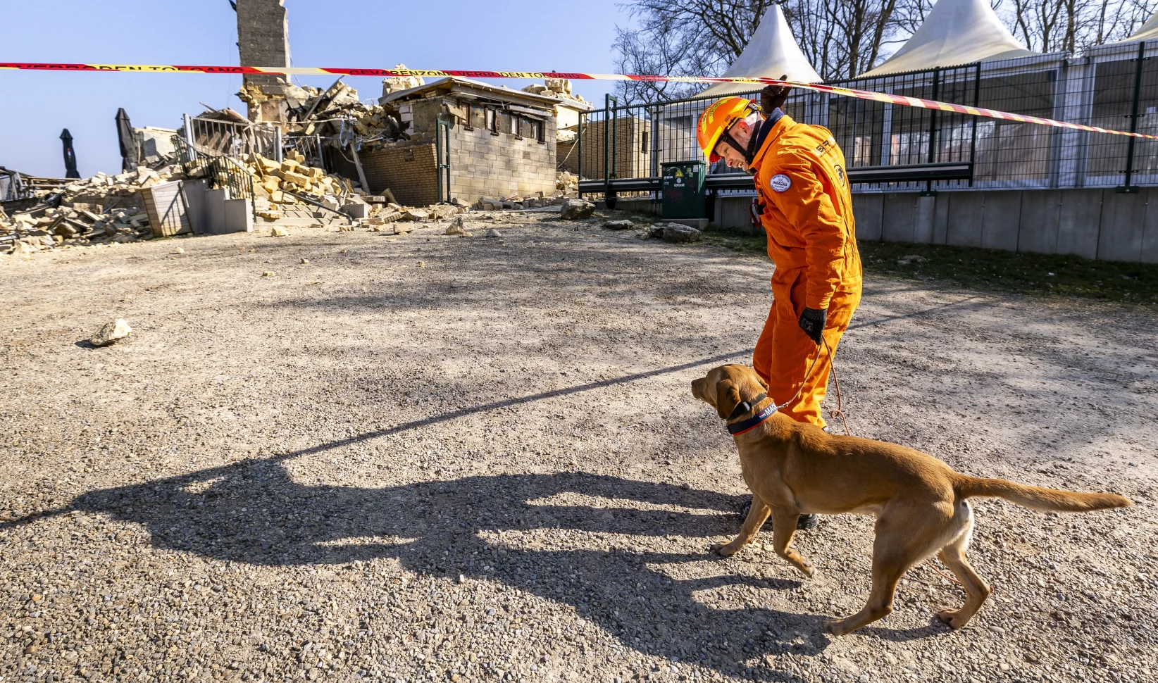 slachtoffers valkenburg wilhelminatoren honden slaan aan